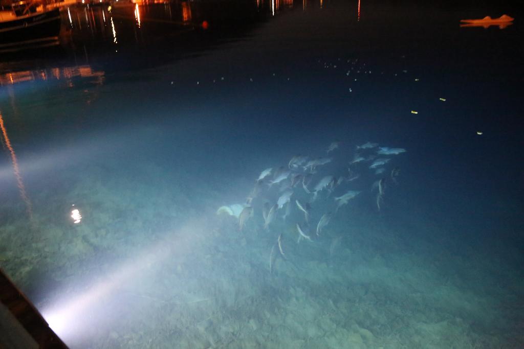 Dolphin Hotel Selimiye  Exterior foto